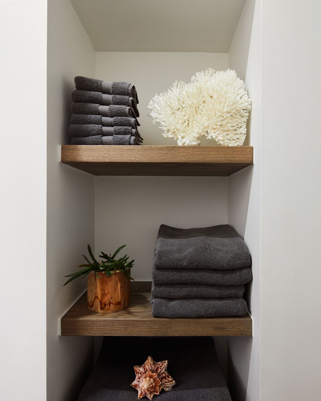 Ash Shelves
